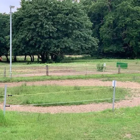 In Dreveskirchen Mit Kleinem Garten Blowatz