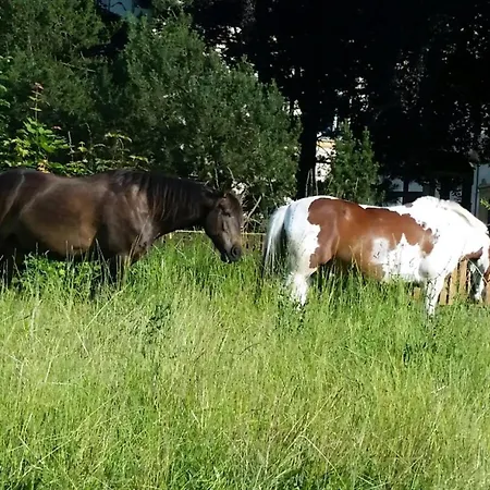 In Dreveskirchen Mit Kleinem Garten *